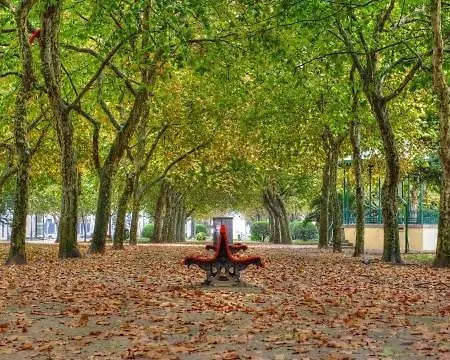 Enjoy A Beautiful Sunset In Διαμέρισμα