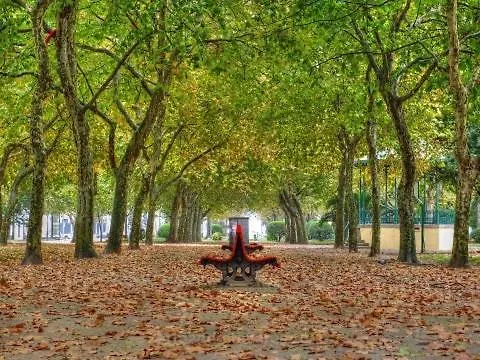 Enjoy A Beautiful Sunset In Appartement